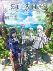 夏日口袋